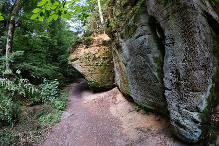 20260715_181140.jpg