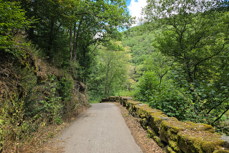 20260719_144613.jpg