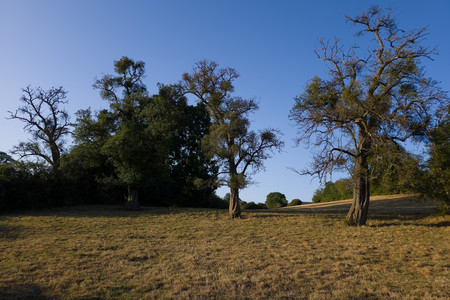 20260720_201631.jpg