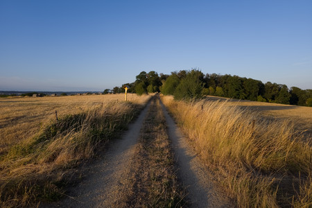 20260720_204255.jpg