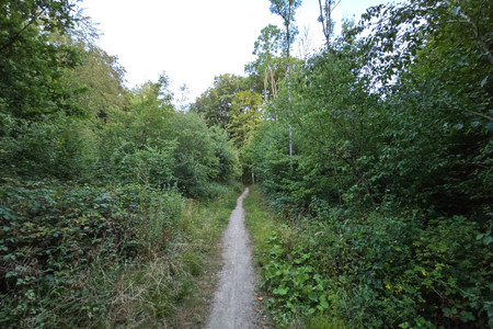 20260721_212627.jpg