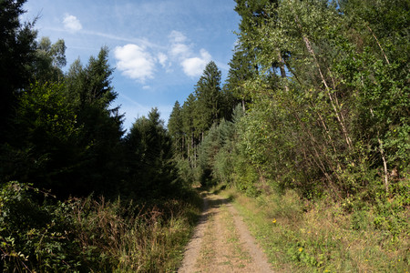 20260723_175853.jpg