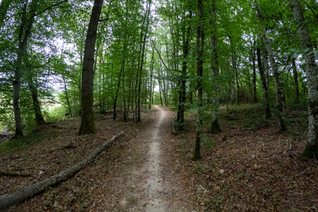20260726_144518.jpg