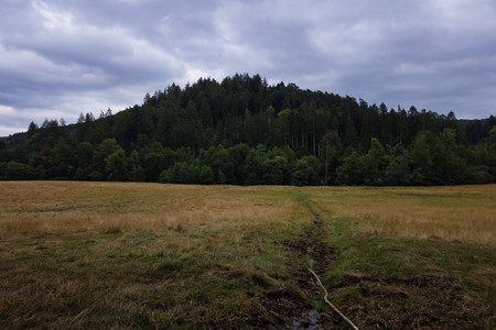 20260726_161036.jpg