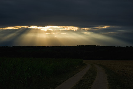20260726_203305.jpg