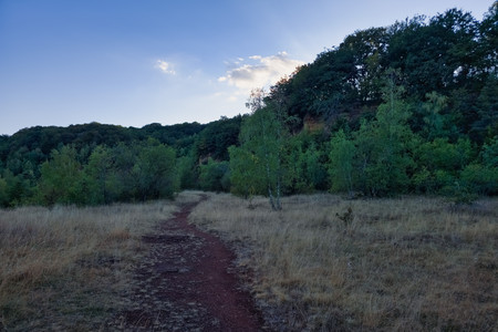 20260727_203109.jpg