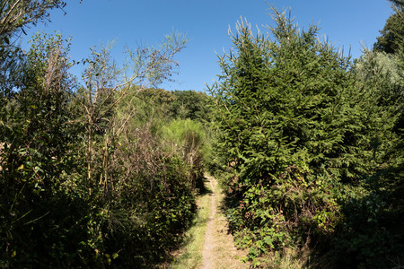 20260728_171629.jpg