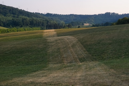 20260730_194731.jpg