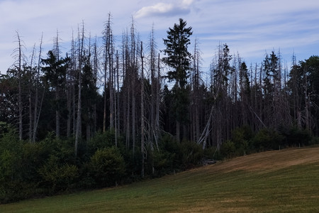 20260801_180643.jpg