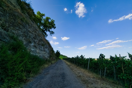 20260802_181330.jpg