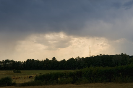 20260803_173547.jpg