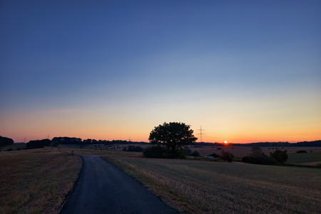 20260804_205620.jpg