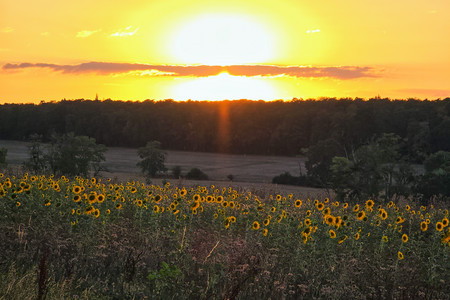 20260805_205130.jpg