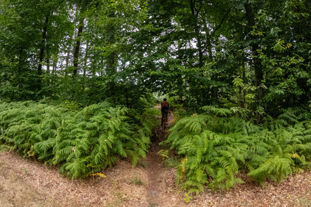 20260806_151557.jpg