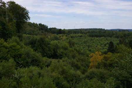 20260806_151725.jpg