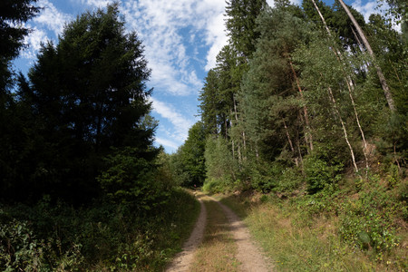 20260806_165541.jpg