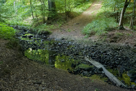20260806_192212.jpg