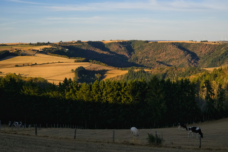20260807_200246.jpg