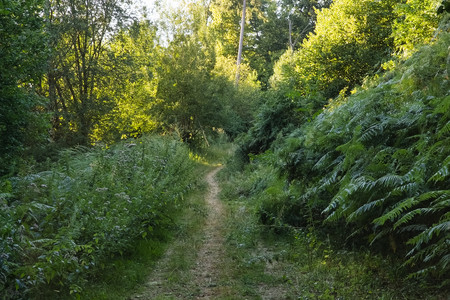 20260810_193639.jpg