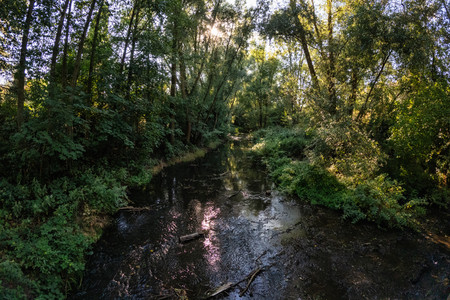 20260812_181309.jpg
