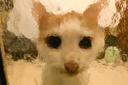 20260814_003453.jpg