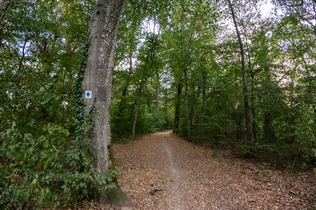 20260815_195911.jpg