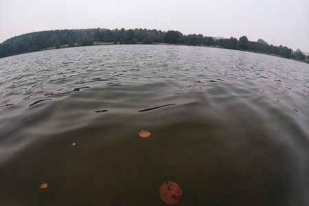 20260816_152710.jpg
