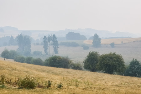 20260816_153553.jpg