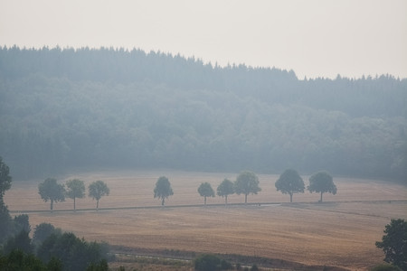 20260816_160433.jpg