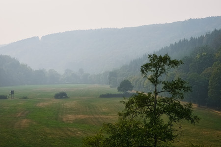 20260816_163733.jpg