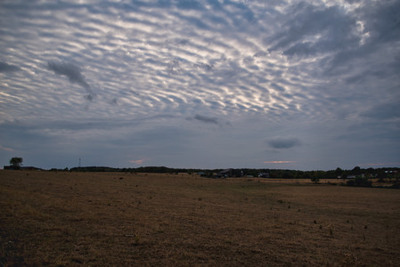 20260817_200444.jpg