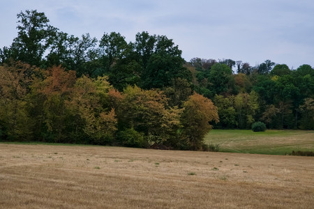 20260817_203756.jpg