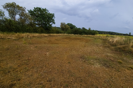 20260818_163733.jpg