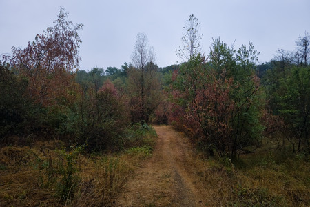 20260818_203037.jpg