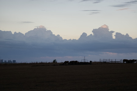 20260819_201350.jpg