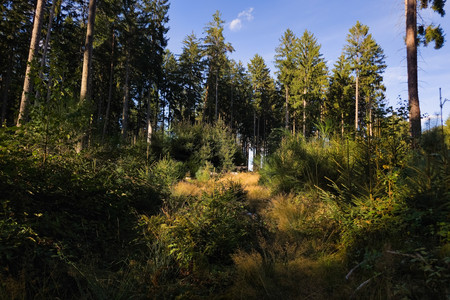 20260820_184901.jpg
