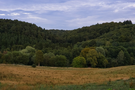 20260824_193314.jpg
