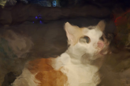 20260824_212035.jpg