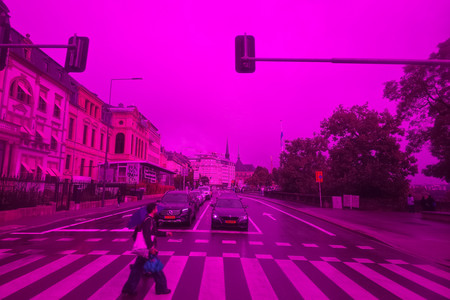 20260825_154621.jpg