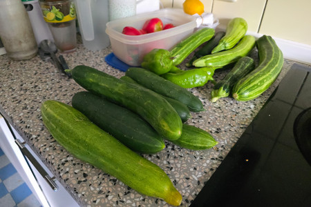20260825_171745.jpg