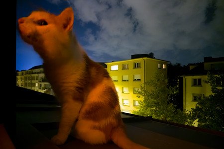 20260825_225508.jpg