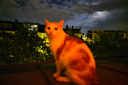 20260825_230003.jpg