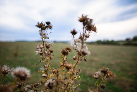 20260826_201141.jpg