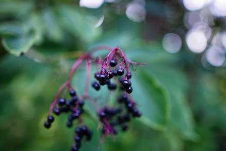 20260827_112649.jpg