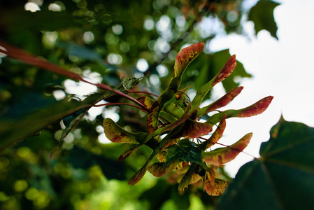 20260827_113000.jpg
