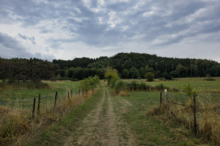 20260827_172548.jpg
