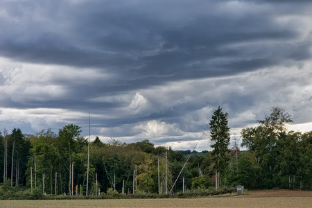 20260828_185246.jpg