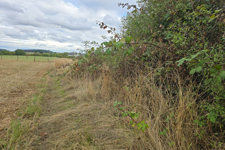 20260829_171854.jpg