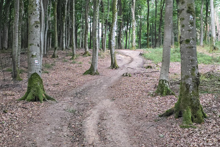 20260830_191751.jpg