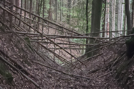 20260830_193740.jpg